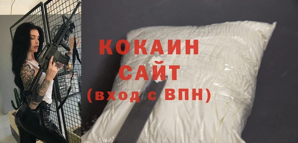шишки Мегион