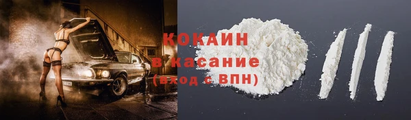 шишки Мегион