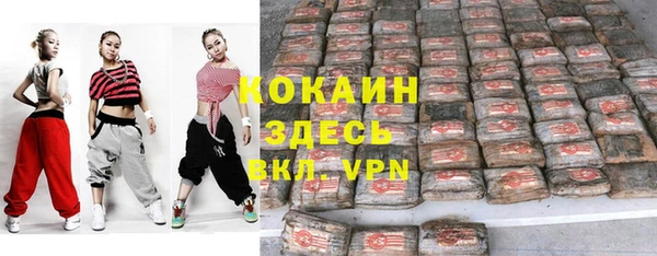 прущие грибы Бердск