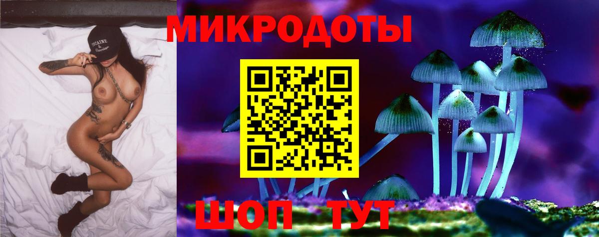 Псилоцибиновые грибы Psilocybine cubensis  Вход с VPN  Новоуральск 