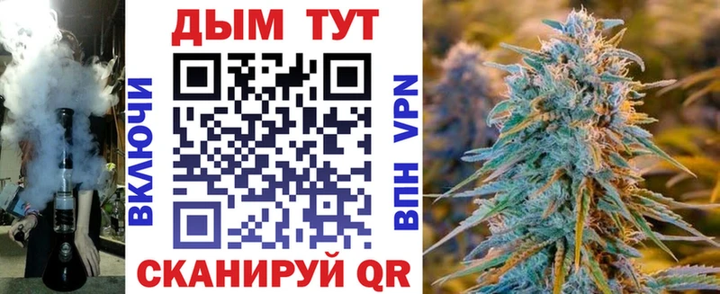 Конопля сатива Новоуральск